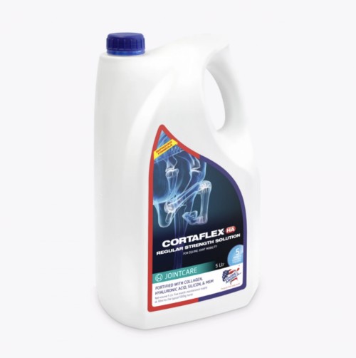 CORTAFLEX HA REGULAR SOLUTION EQUINE AMERICA HORSE1 2