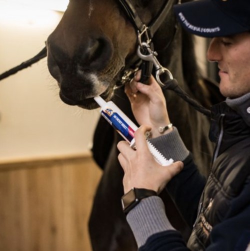 JERINGA AN ENERGY BOOSTER CAVALOR 2