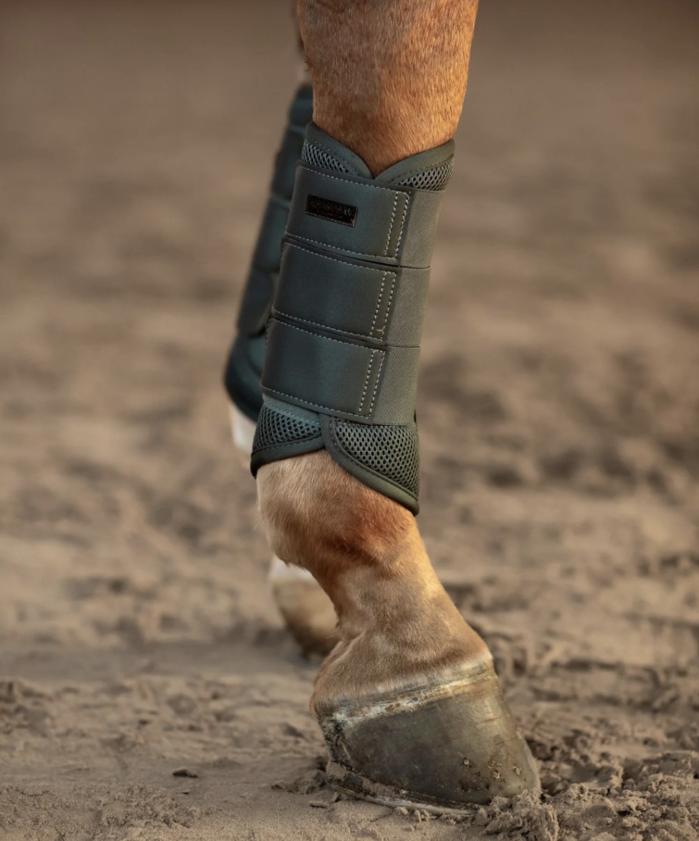 PROTECTORES AVENUE GREEN EQUESTRIAN STOCKHOLM