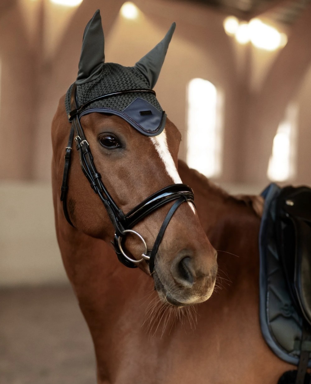 OREJERAS AVENUE GREEN EQUESTRIAN STOCKHOLM