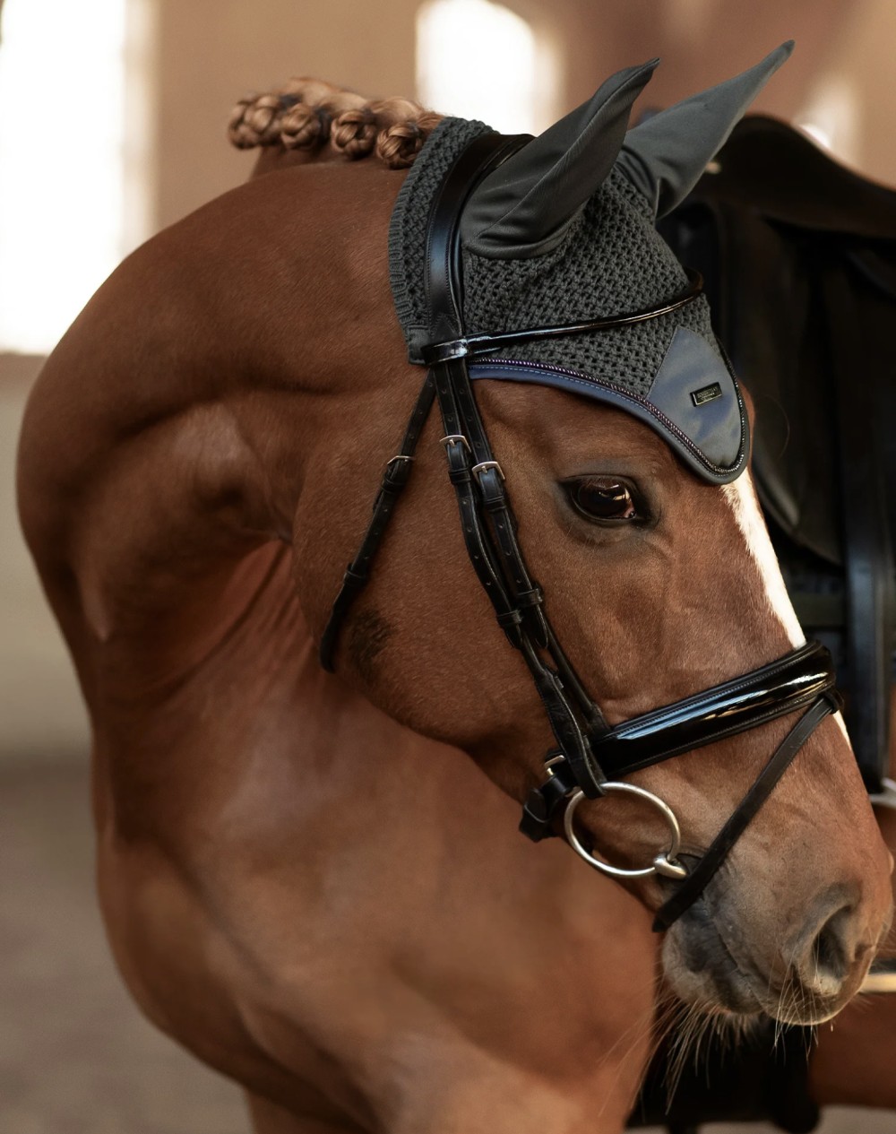 OREJERAS AVENUE GREEN EQUESTRIAN STOCKHOLM