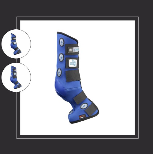 PROTECTORES TRASEROS MAGNETIK BOOT 4H VEREDUS