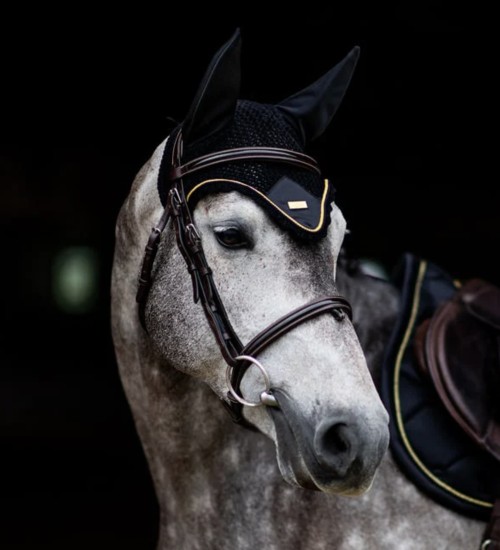 OREJERAS BLACK GOLD EQUESTRIAN STOCKHOLM 2