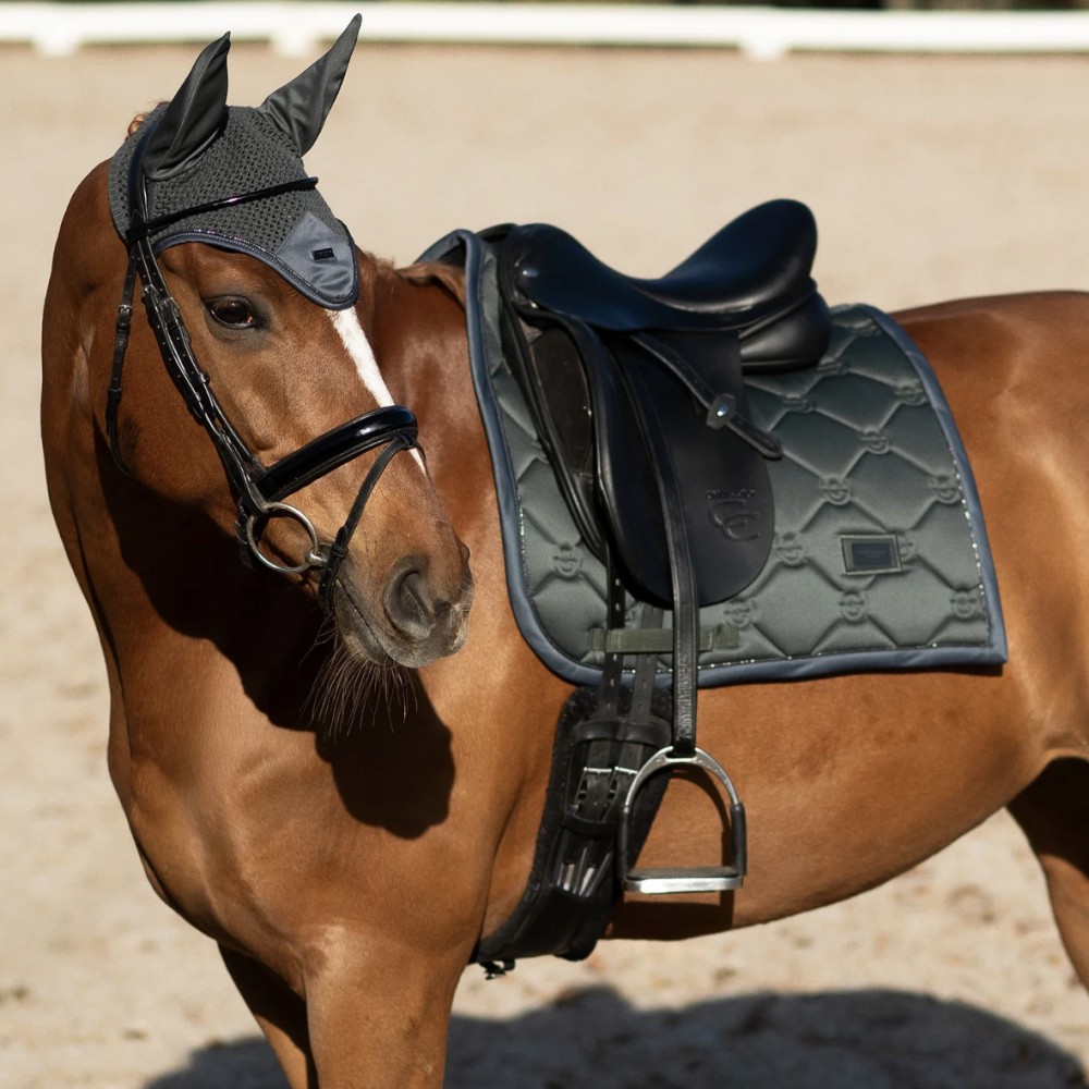 MANTILLA AVENUE GREEN EQUESTRIAN STOCKHOLM