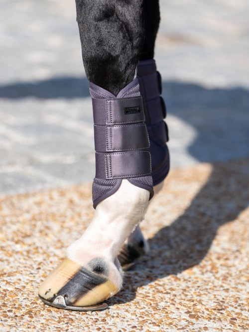 PROTECTORES MALLA DARK VIOLET EQUESTRIAN STOCKHOLM 2