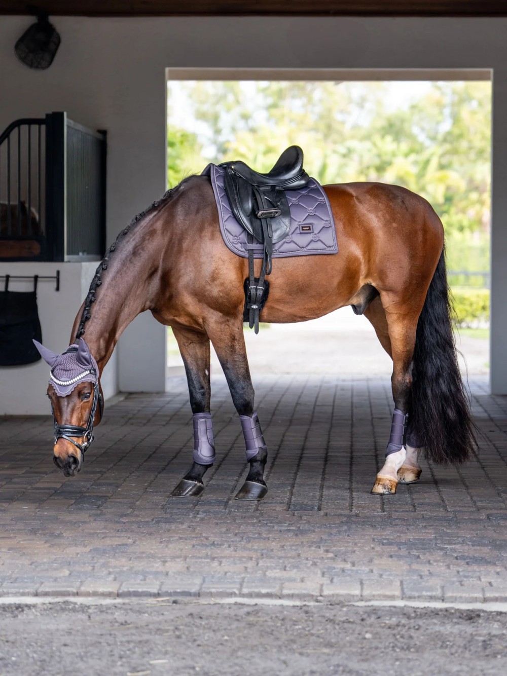 PROTECTORES MALLA DARK VIOLET EQUESTRIAN STOCKHOLM