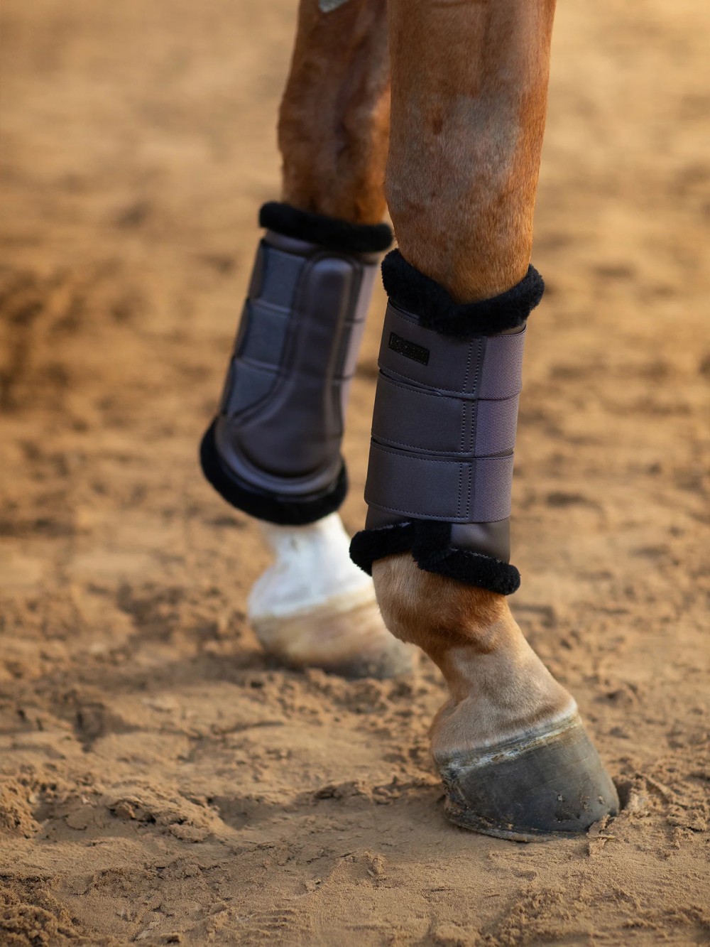 PROTECTORES BORREGO DARK VIOLET EQUESTRIAN STOCKHOLM