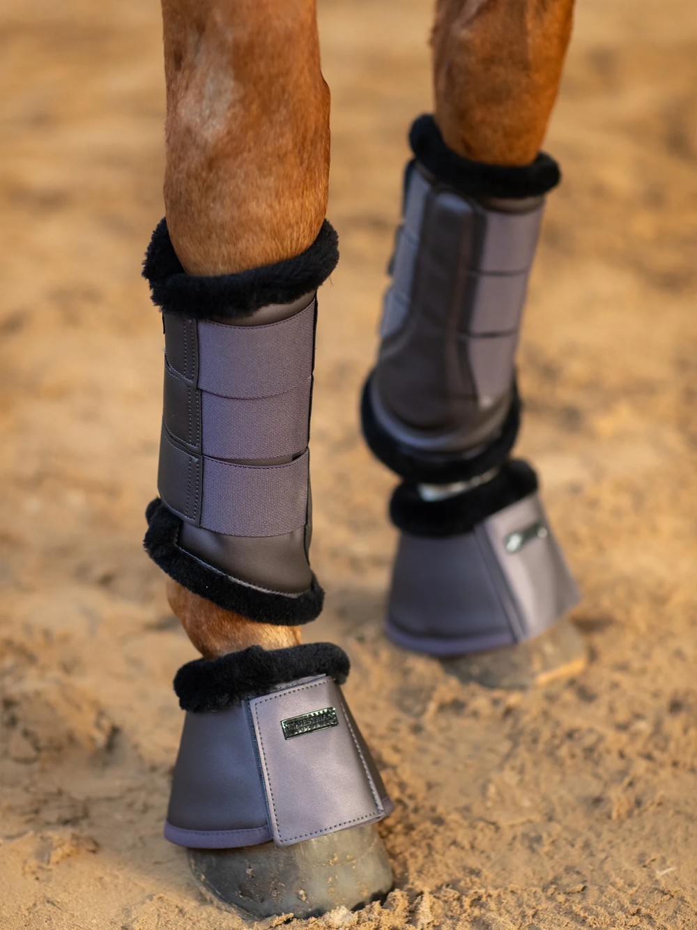 PROTECTORES BORREGO DARK VIOLET EQUESTRIAN STOCKHOLM