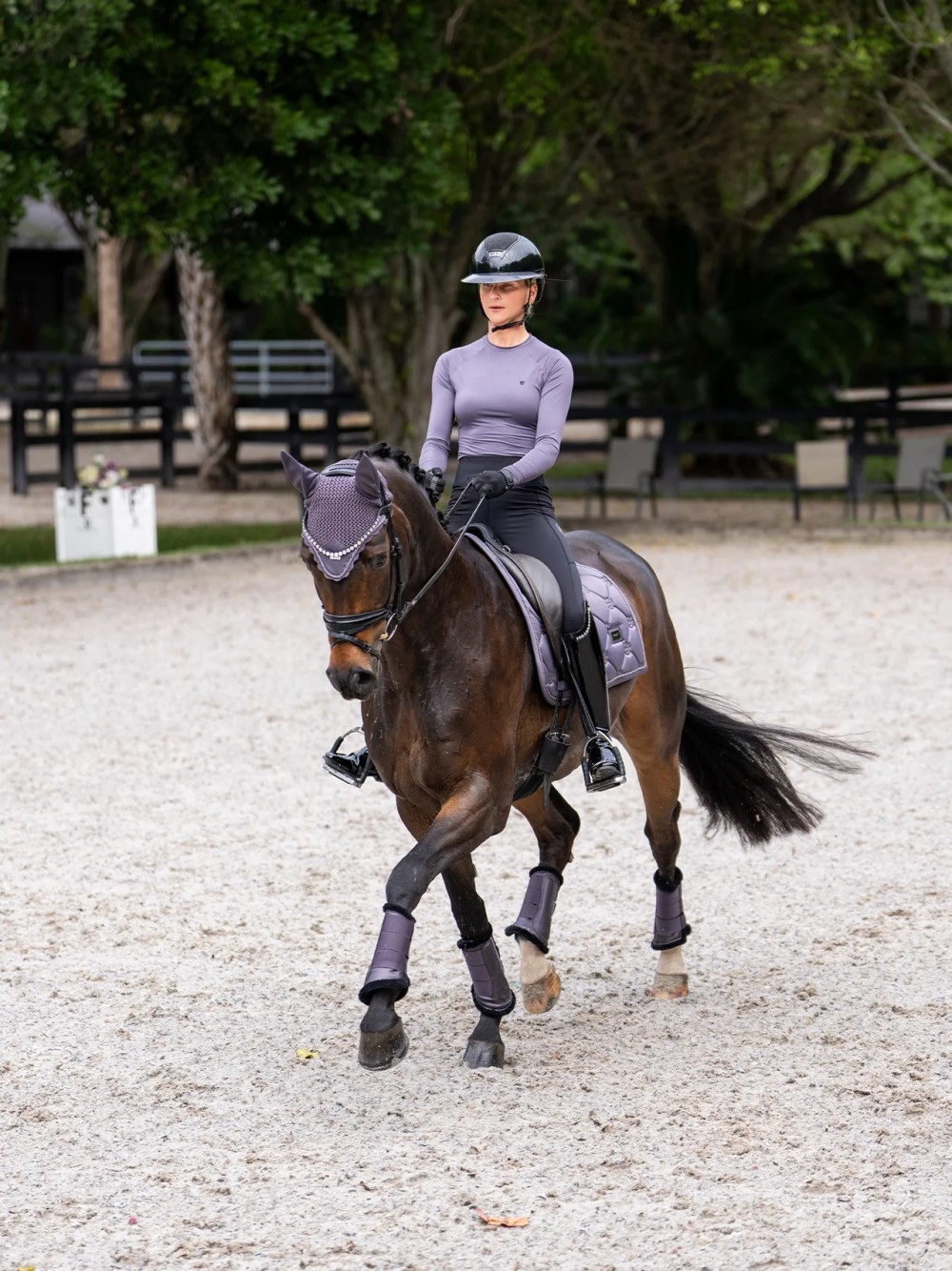 PROTECTORES BORREGO DARK VIOLET EQUESTRIAN STOCKHOLM
