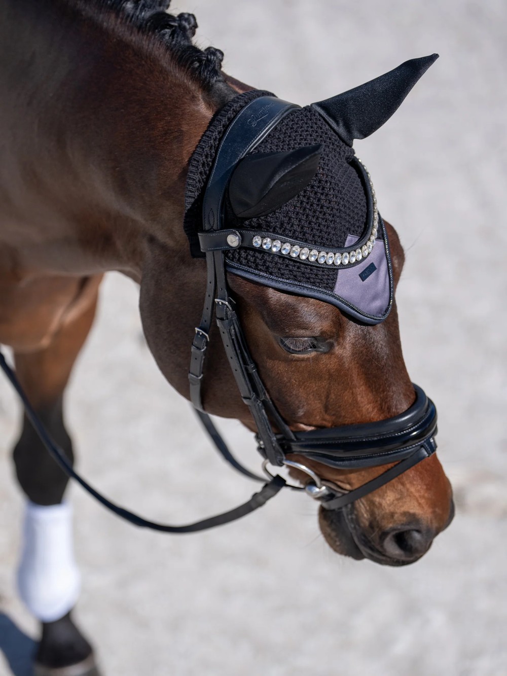 OREJERAS REDUCTORAS DE SONIDO DARK VIOLET EQUESTRIAN STOCKHOLM