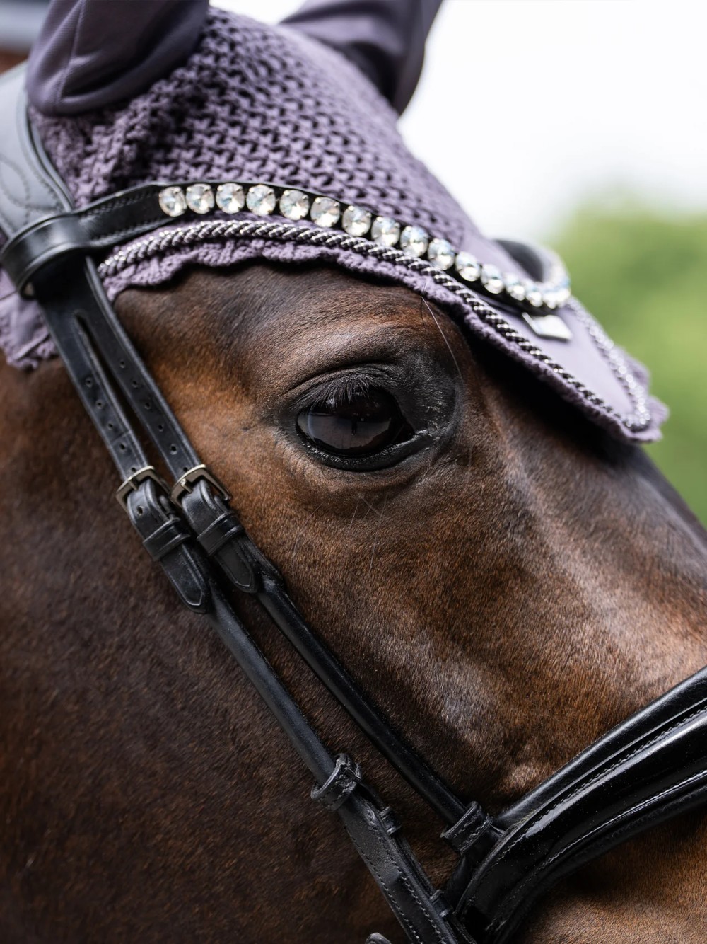 OREJERAS DARK VIOLET EQUESTRIAN STOCKHOLM