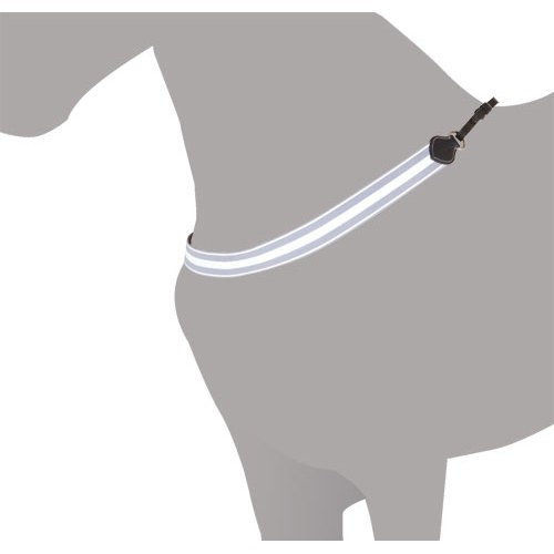 PECHOPETRAL COLLAR INGLES