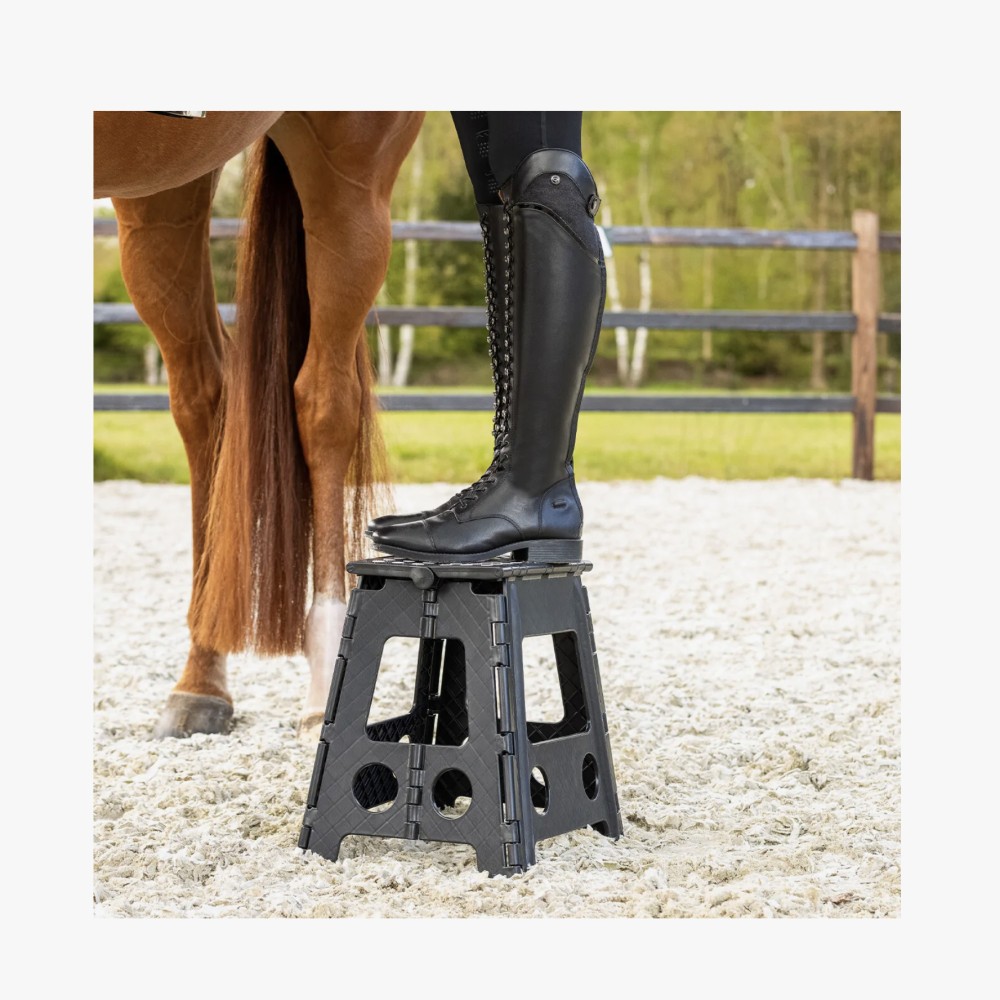 TABURETE STEP-UP QHP