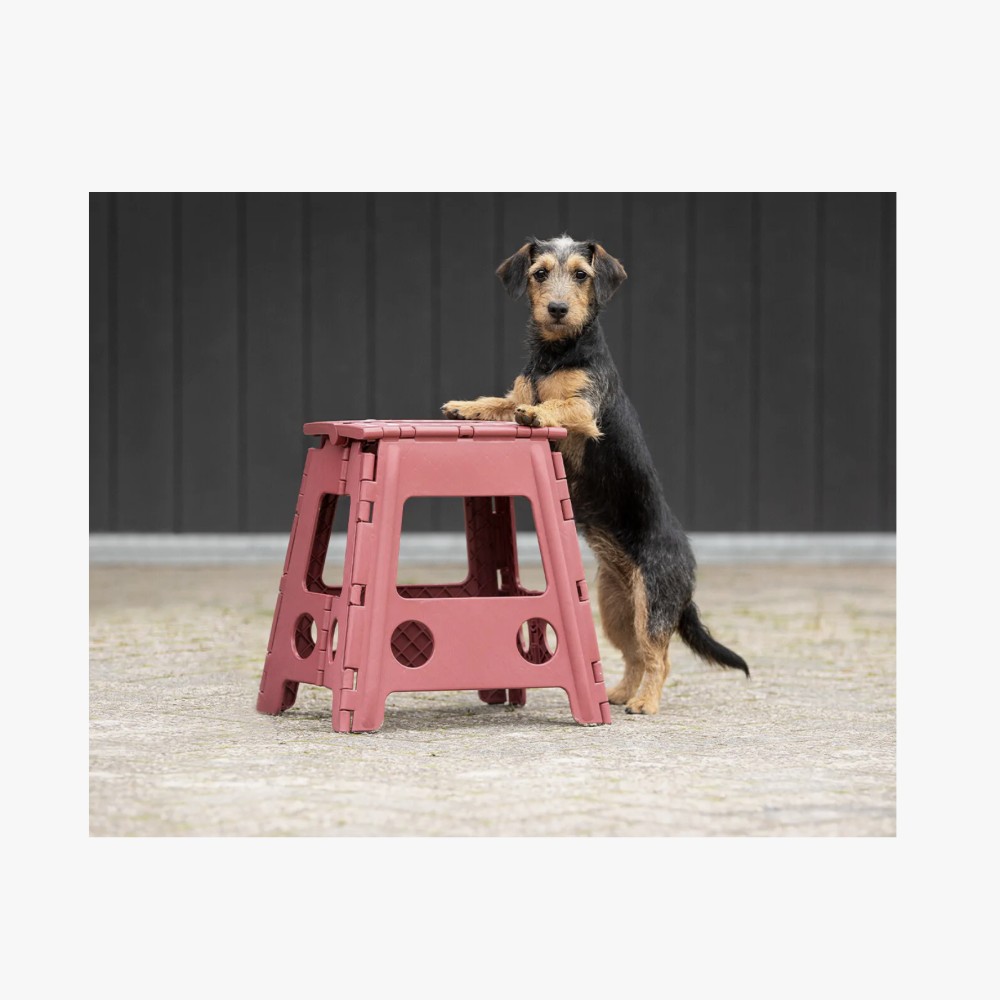 TABURETE STEP-UP QHP