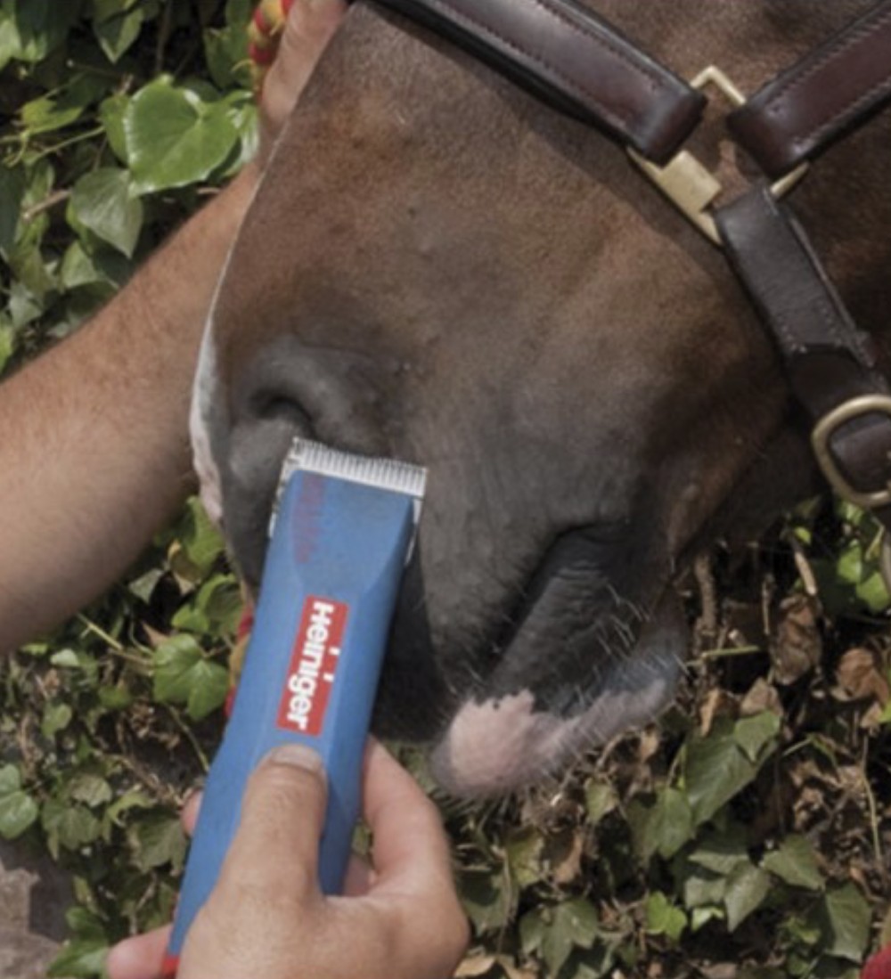 ESQUILADORA SAPHIR 2 BATERIAS HEINIGER