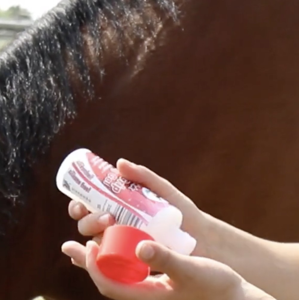 GEL PARA TRENZADO COLA/CRINES LEOVET 5 ESTRELLAS BRAIDING GEL