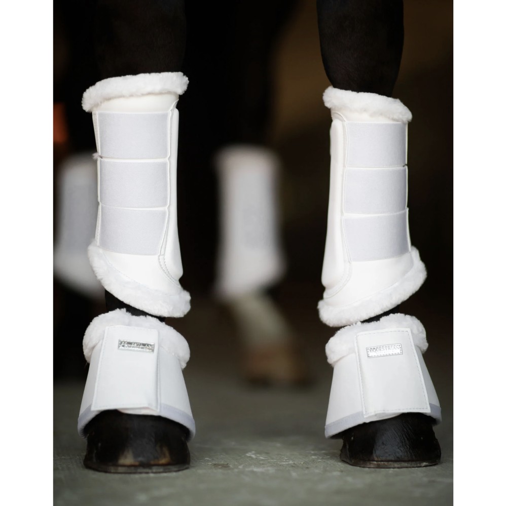 CAMPANAS WHITE PERFECTION EQUESTRIAN STOCKHOLM