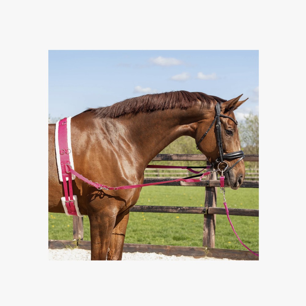 CINCHUELO LUNGING COLOR QHP 2