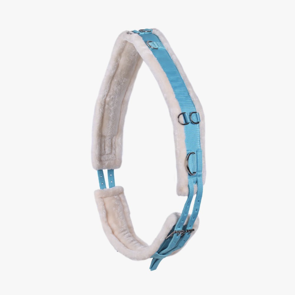 CINCHUELO LUNGING COLOR QHP