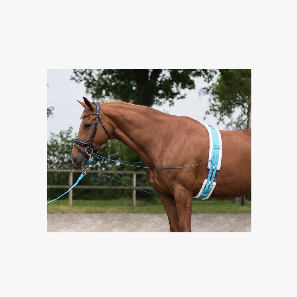 CINCHUELO LUNGING COLOR QHP