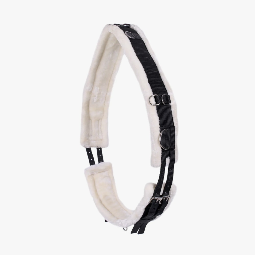 CINCHUELO LUNGING COLOR QHP