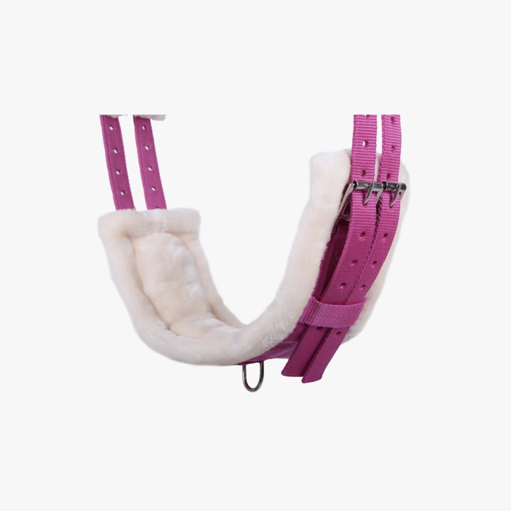 CINCHUELO LUNGING COLOR QHP