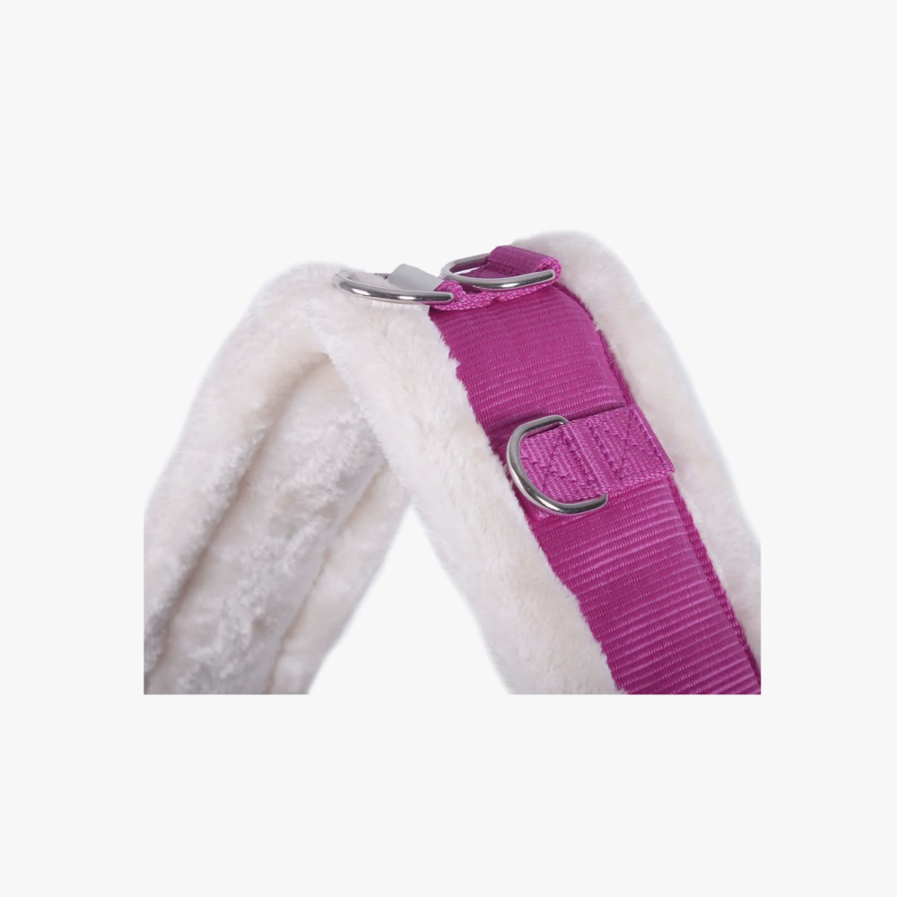 CINCHUELO LUNGING COLOR QHP