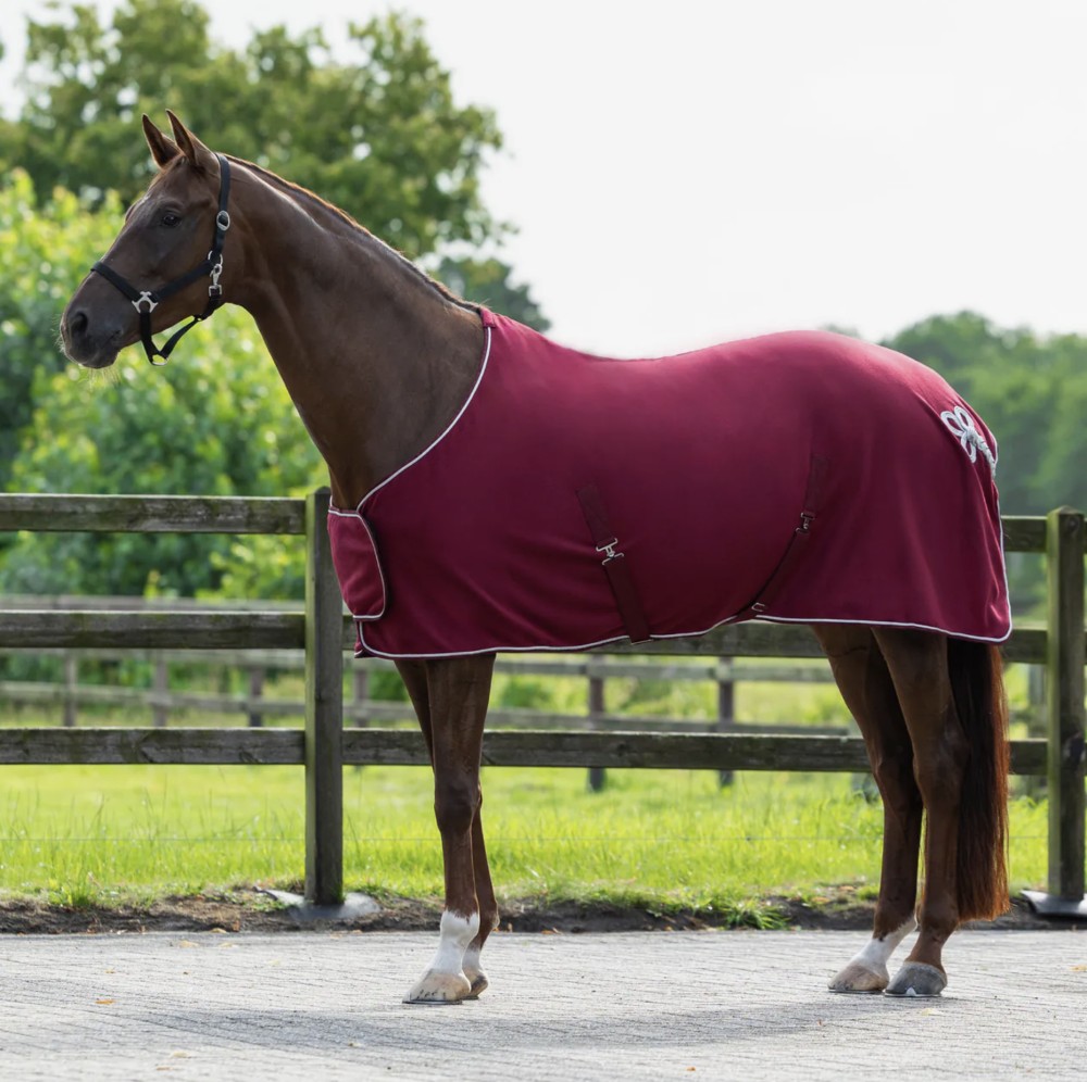 MANTA POLAR ORNAMENT QHP