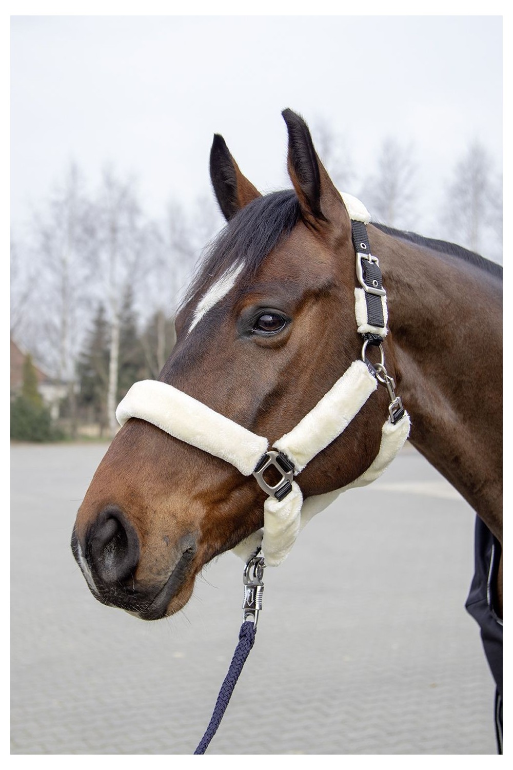 CABEZADA CUADRA TEDDY HKM