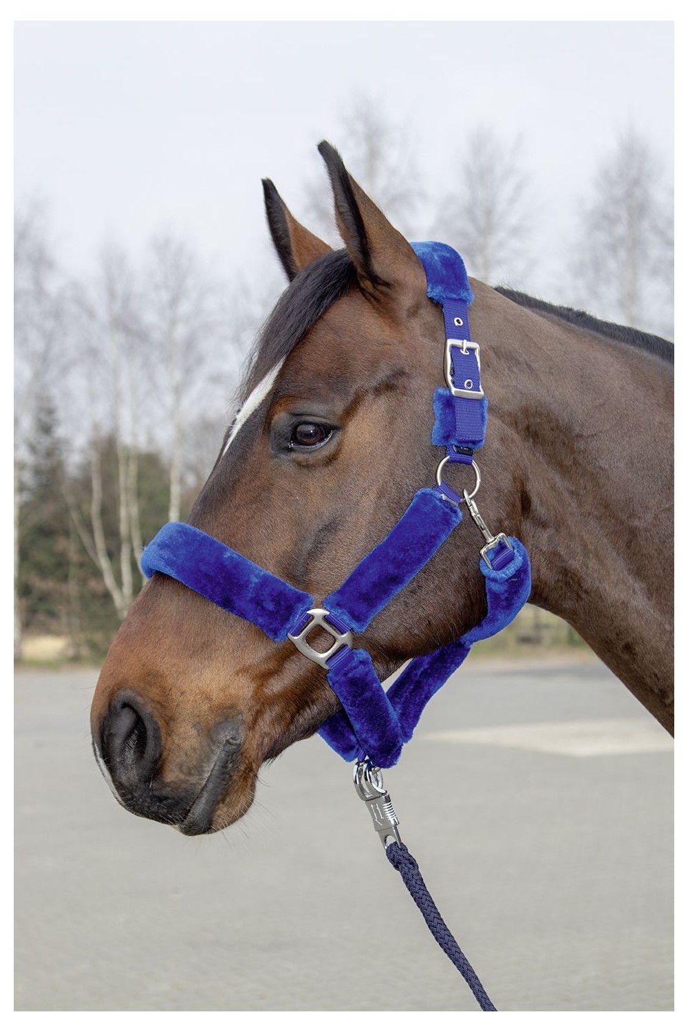 CABEZADA CUADRA TEDDY HKM