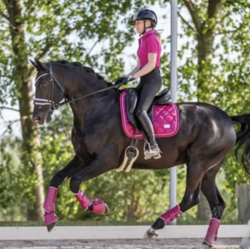 CAMPANAS A MILLION DREAMS SD DESIGN 2