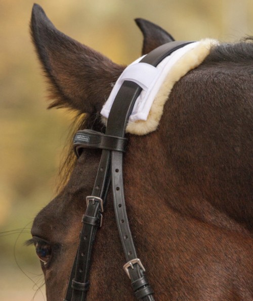 RELLENO DE BORREGO PARA MUSEROLA / TESTERA WALDHAUSEN