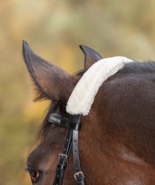 TESTERA O MUSEROLA FORRADA WALDHAUSEN 2