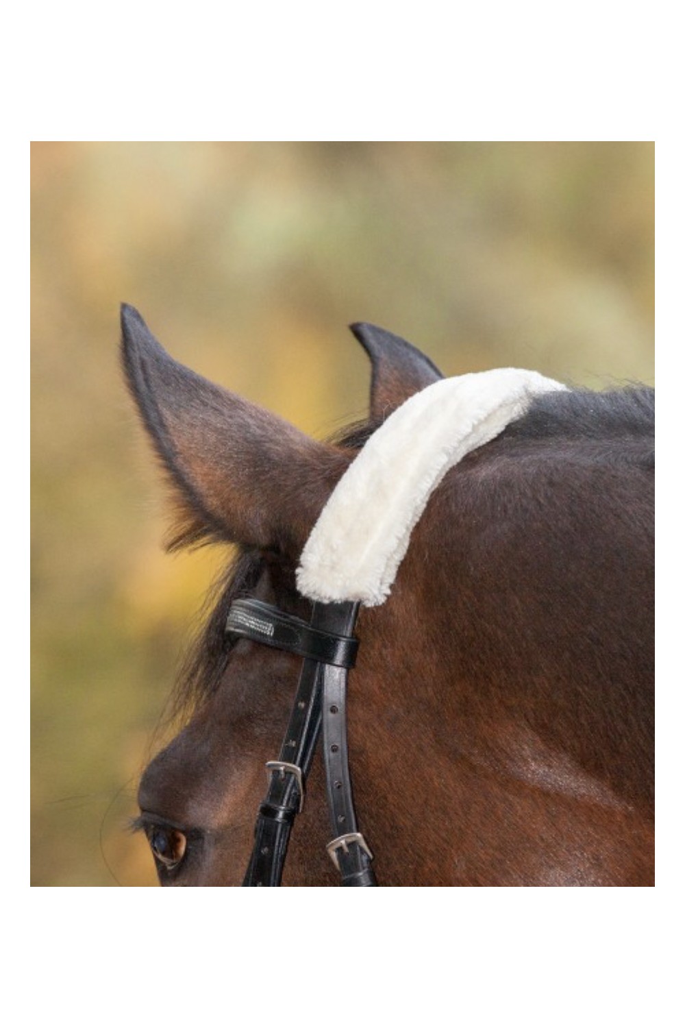 TESTERA O MUSEROLA FORRADA WALDHAUSEN