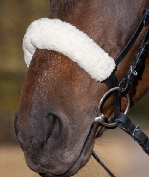 TESTERA O MUSEROLA FORRADA WALDHAUSEN