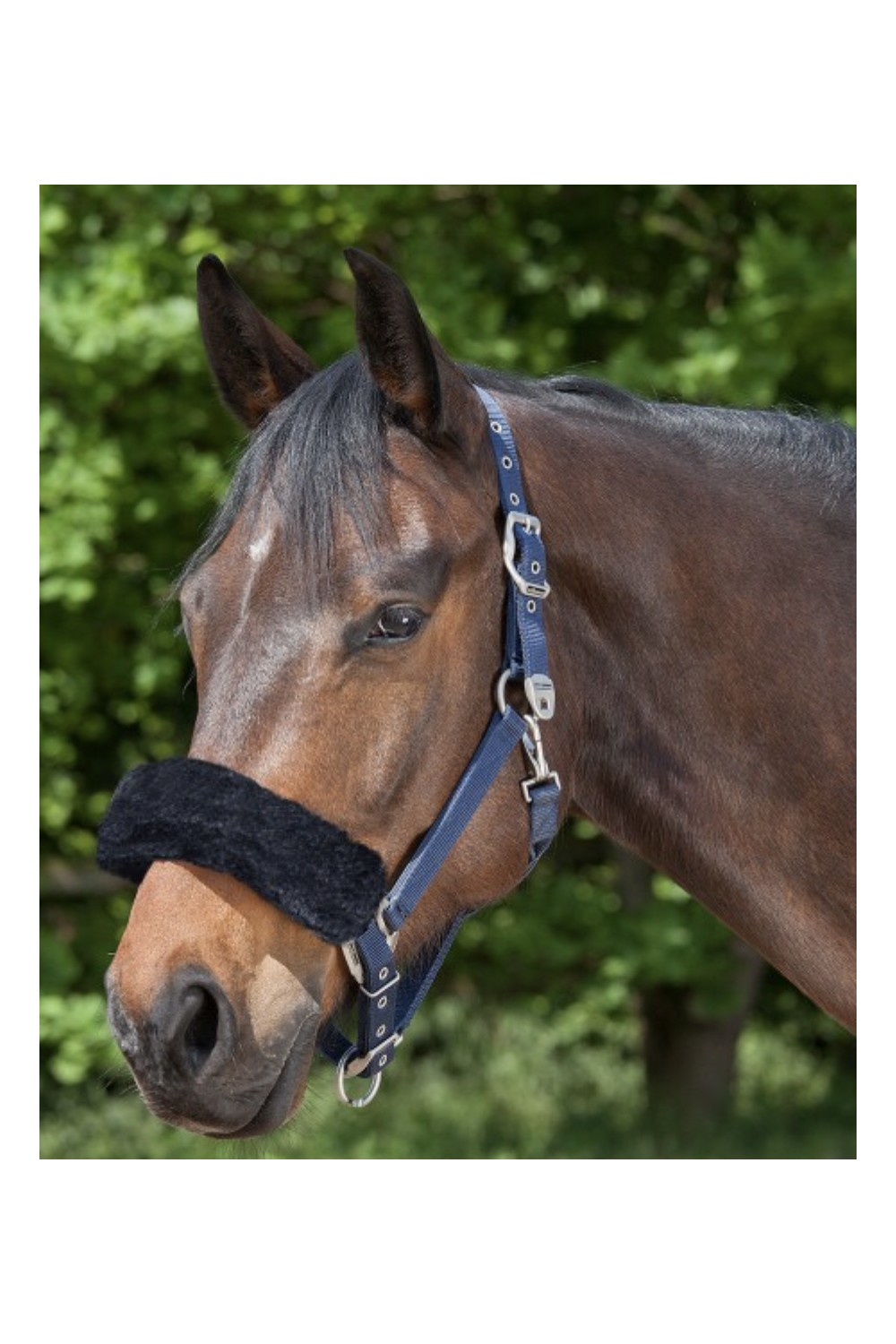 TESTERA O MUSEROLA FORRADA WALDHAUSEN