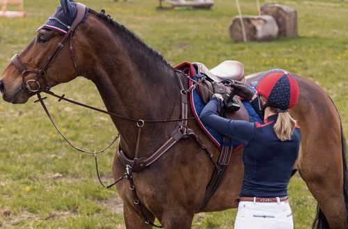 PECHOPETRAL SEDNA QHP 2