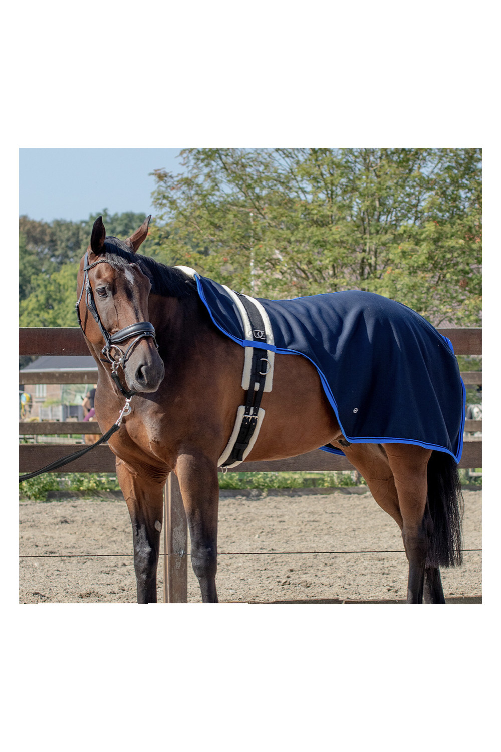 MANTA RIÑONERA FLORENCE QHP