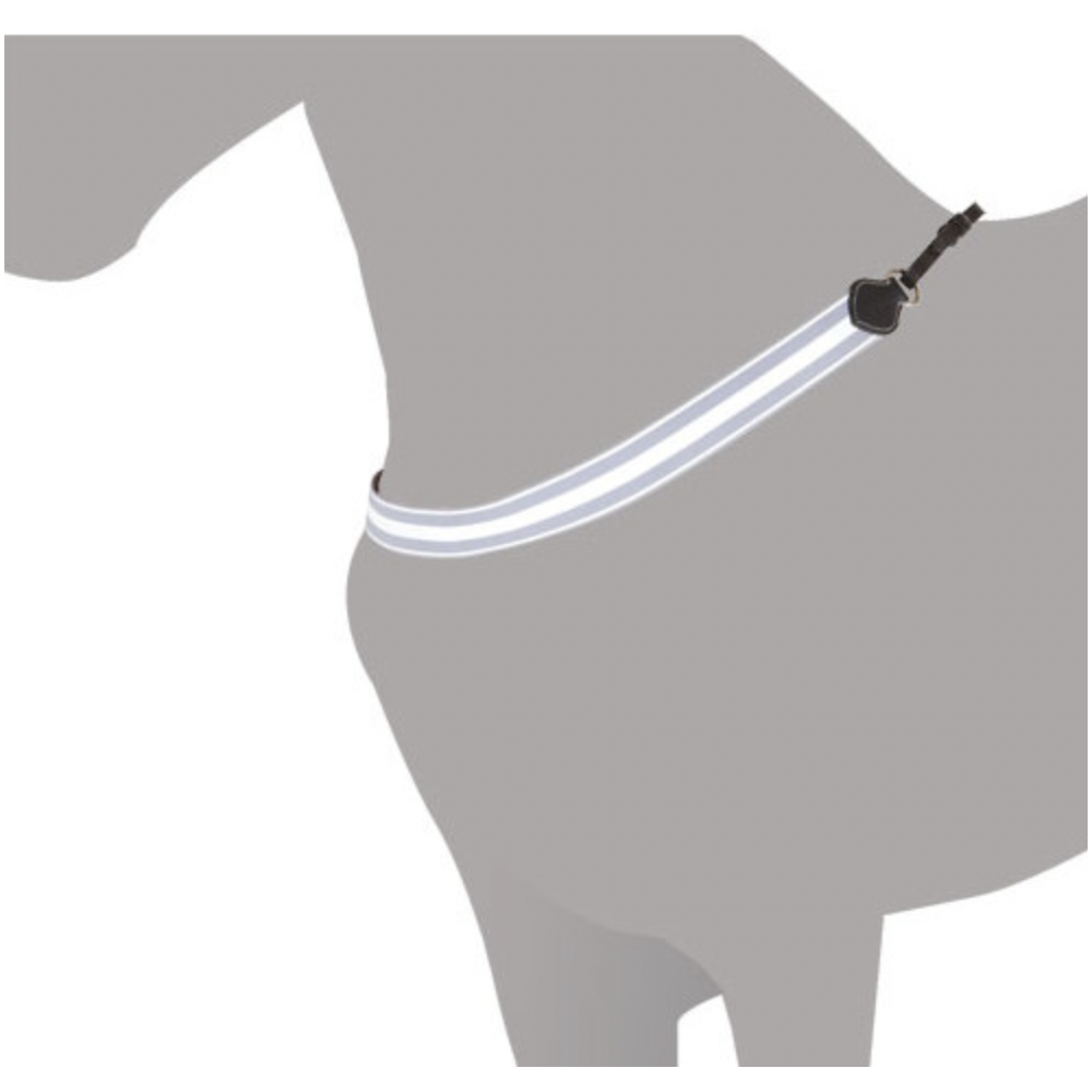 PECHOPETRAL COLLAR INGLES