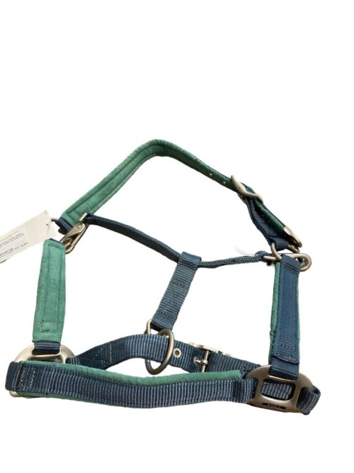 CABEZADA CUADRA Y RONZAL ANKY