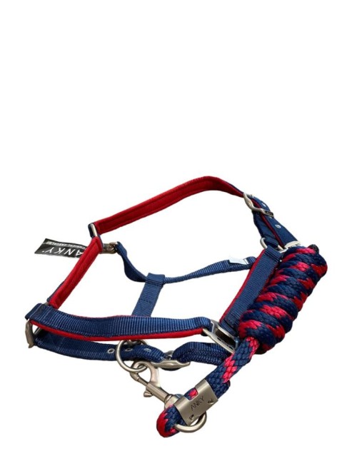 CABEZADA CUADRA Y RONZAL ANKY 2