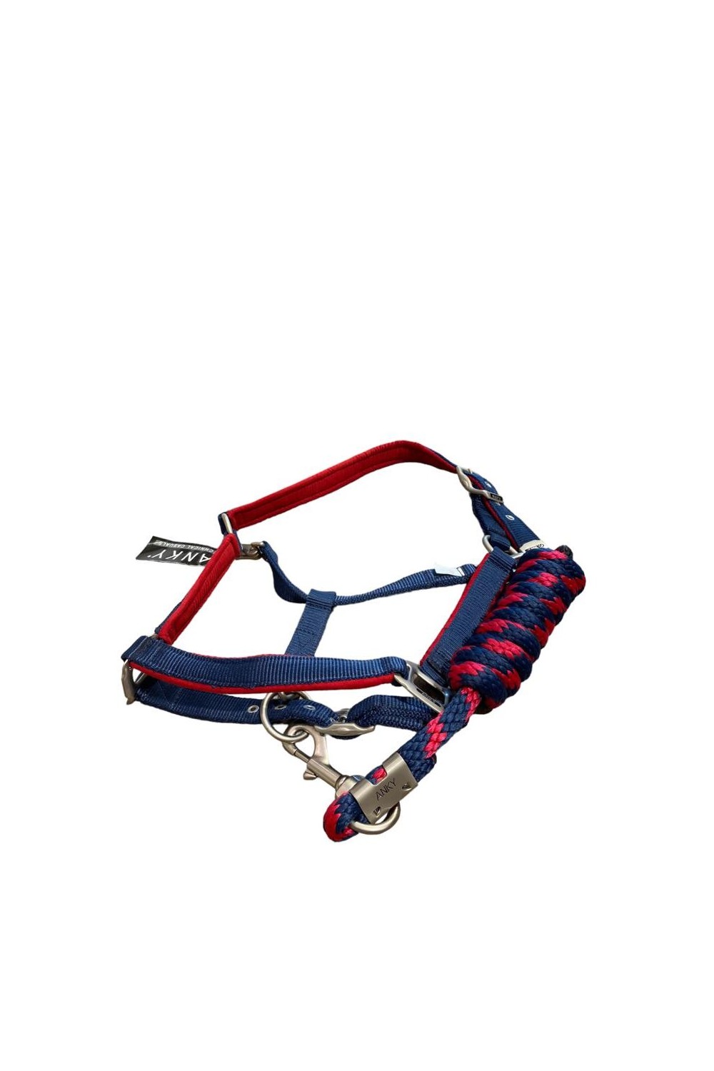 CABEZADA CUADRA Y RONZAL ANKY