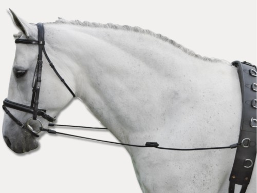 RIENDAS FIJAS ELASTICAS WALDHAUSEN 2