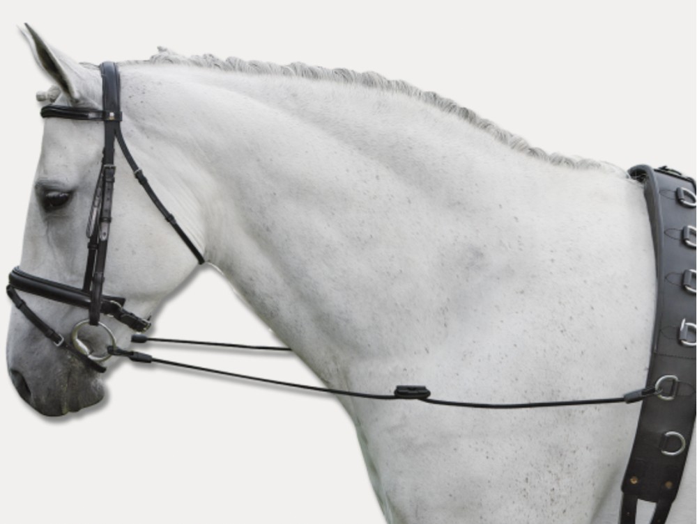 RIENDAS FIJAS ELASTICAS WALDHAUSEN