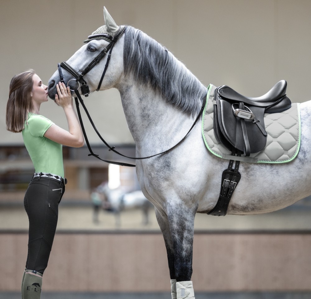 MANTILLA ESPERIA WALDHAUSEN