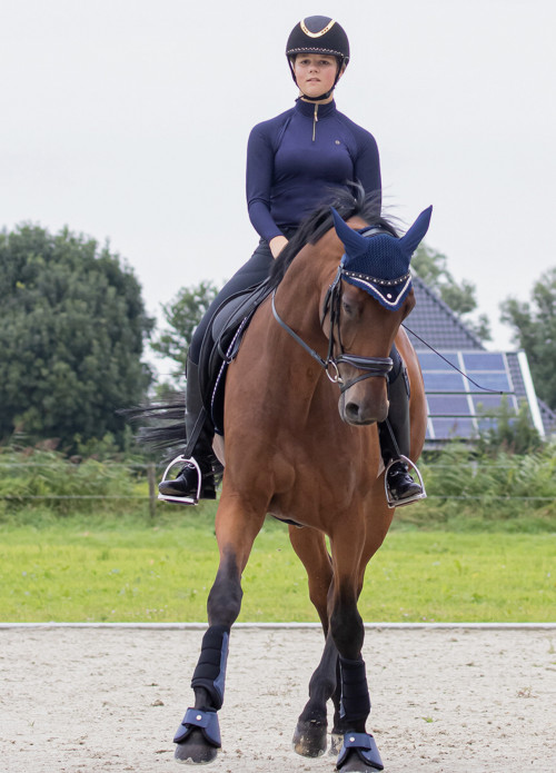 PROTECTORES ORLANDO QHP 2