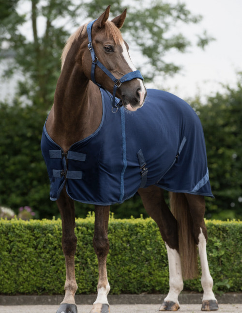 MANTA DE VERANO QHP 2