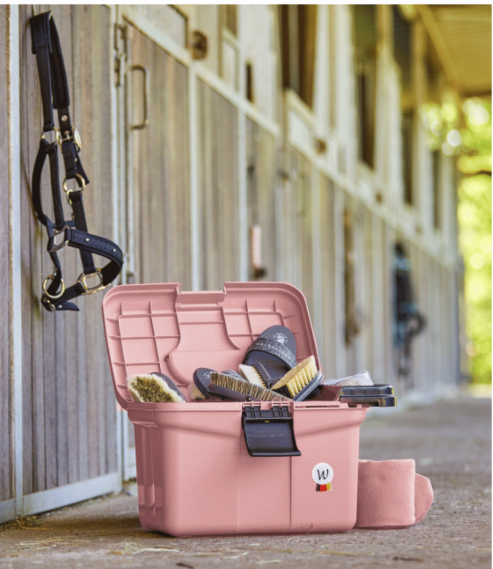 CAJA DE LIMPIEZA ECO WALDHAUSEN