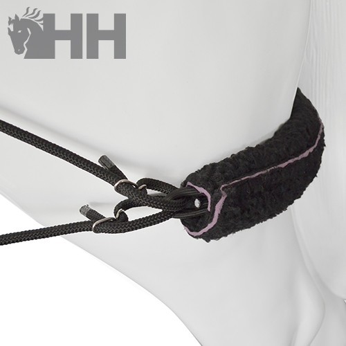 Sistema entrenamiento lexhis tipo pessoa