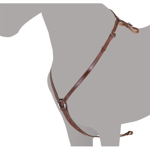 Pechopetral portuguesa lexhis recta